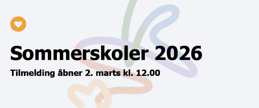 Billede som viser sommerskoler 2025 for børn og unge